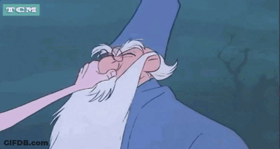 The Sword In A Stone Wizard GIF