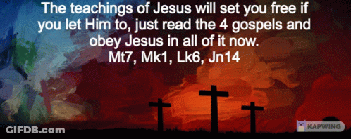 The Teachings Of Jesus Will Set You Free If You Let Him To Just Read The 4 Gospels And Obey Jesus In All Of It GIF