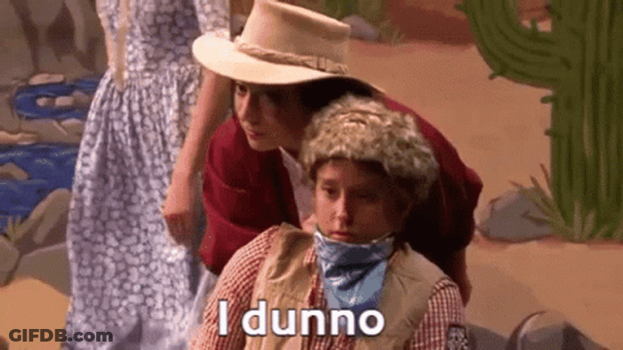 The Trail To Oregon I Dunno GIF