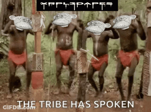 The Tribe Has Spoken Monkeys Poster GIF