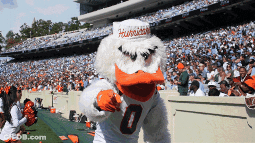 The U Sebastian The Ibis Dancing GIF