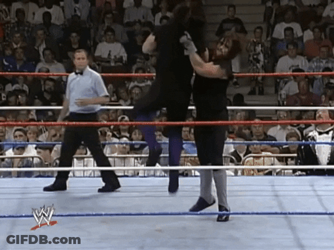 The Undertaker Raising The Opponent GIF