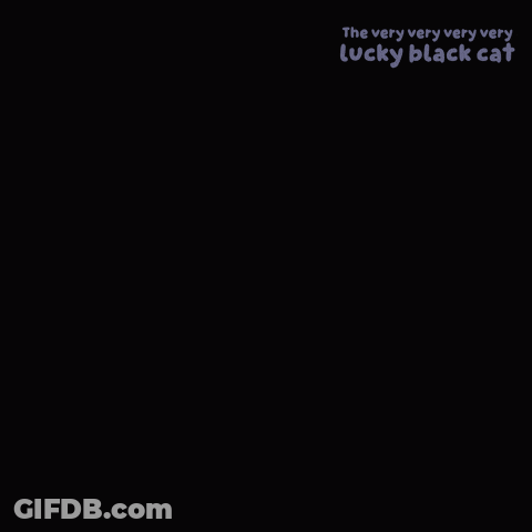 The Very Very Very Lucky Black Cat Says Happy Friday The 13Th GIF