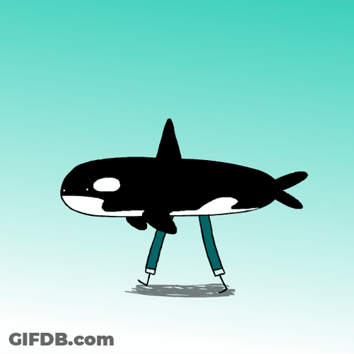 The Walking Orca GIF
