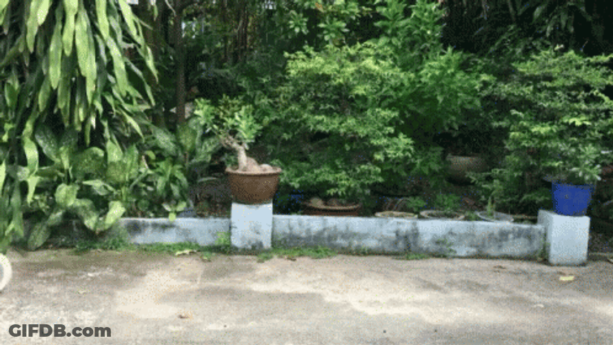 The Way Is Clear Go Go Go GIF