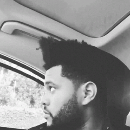 The Weekend Inside Car GIF