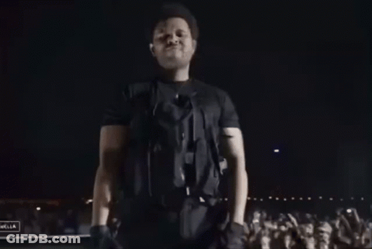 The Weeknd Concert GIF