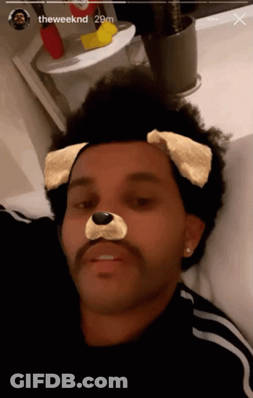 The Weeknd Dog Filter GIF