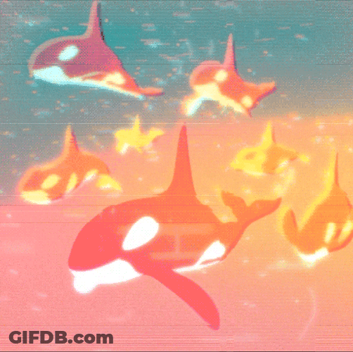 The Whale Group GIF