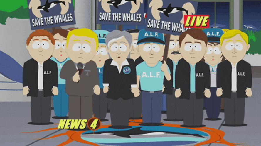 The Whale News GIF