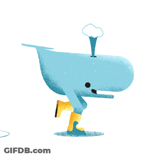 The Whale Running GIF