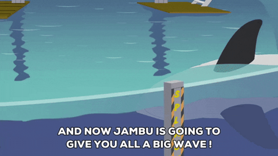 The Whale Tapping The Water GIF