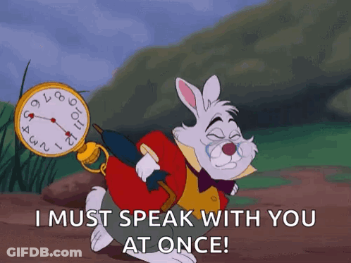 The White Rabbit From Alice In Wonderland Is Carrying A Pocket Watch On His Back And Says I Must Speak With You At Once GIF