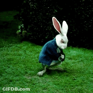 The White Rabbit From Alice In Wonderland Is Wearing A Blue Jacket And Standing In The Grass . GIF
