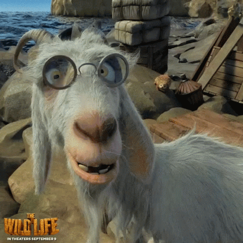 The Wild Life Goat GIF