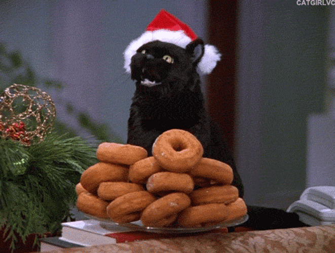 The Witch Cat In Xmas Hat GIF