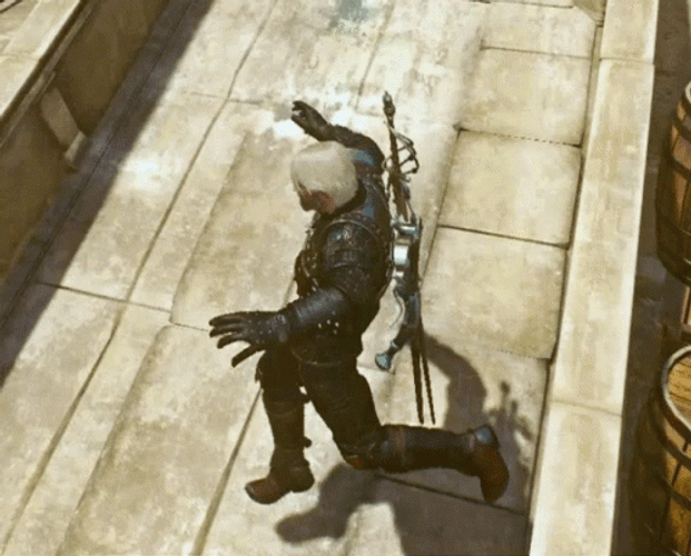 The Witcher 3 Bug GIF