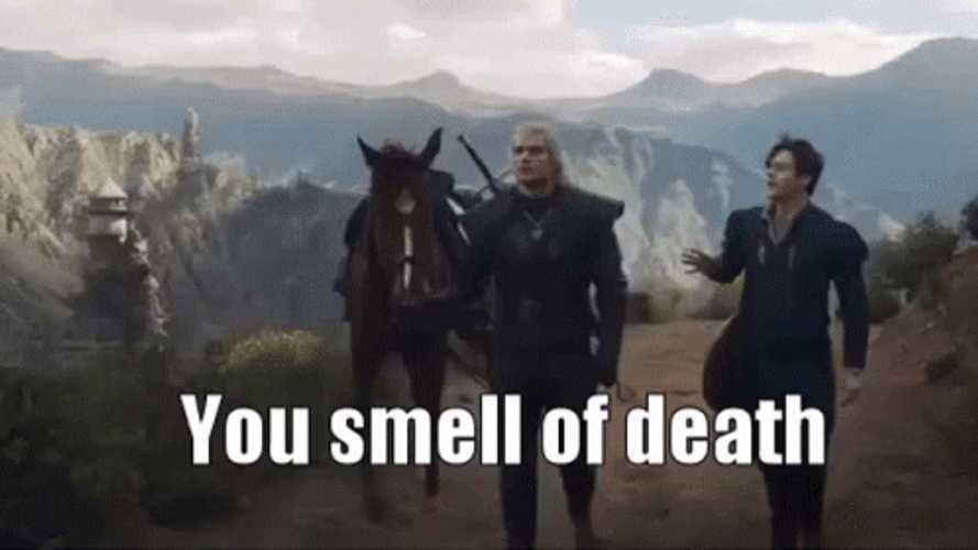 The Witcher Jaskier And Gerald Funny Conversation GIF