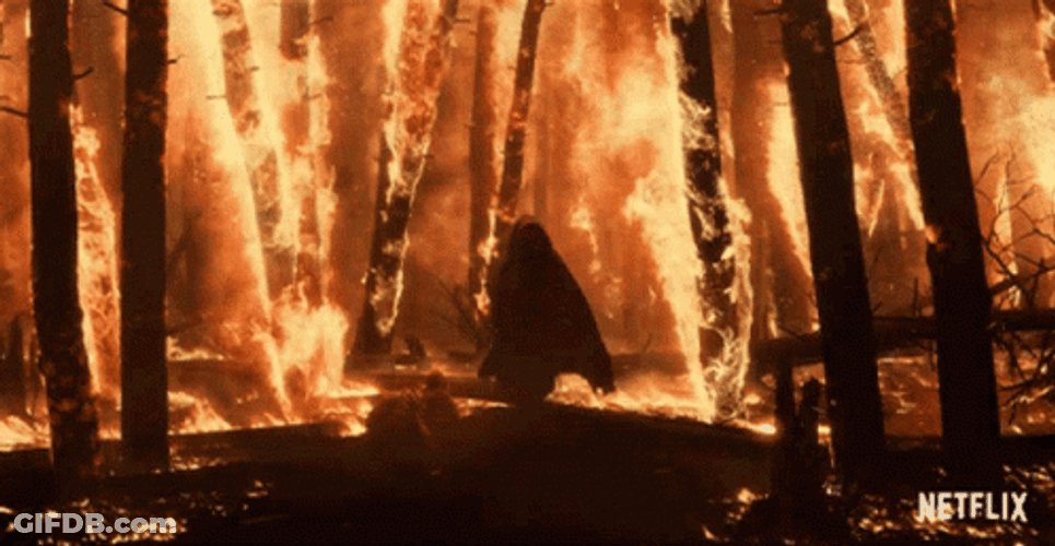 The Witcher Silhouette Fighting Wildfire GIF