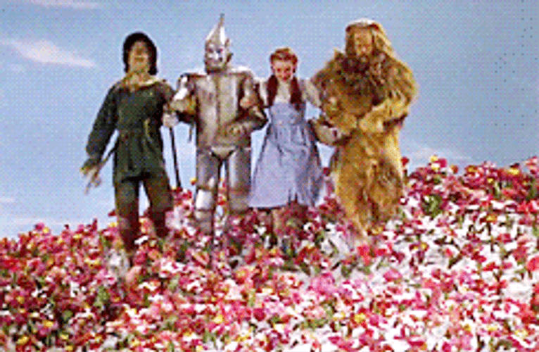 The Wizard Of Oz Garden Of Flowers GIF