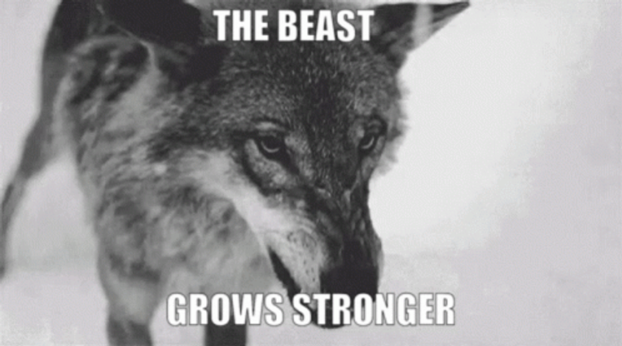 The Wolf Beast Grows Stronger GIF