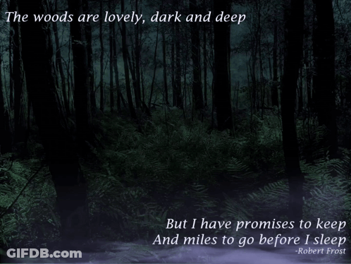 The Woods Are Lovely Dark And Deep And I Have Promises To Keep And Miles To Go Before I Sleep GIF