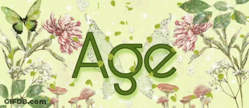 Age Word Surrounded By Mushrooms And Butterflies GIF