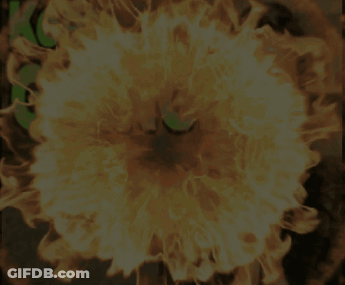 The Word Going Is Surrounded By Fire GIF