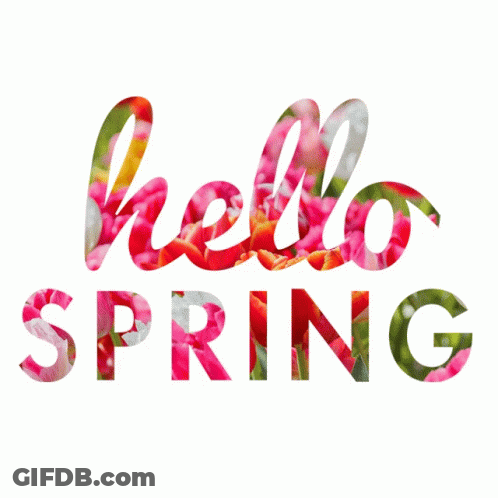 The Word Hello Spring Is Surrounded By Pink Roses On A White Background GIF