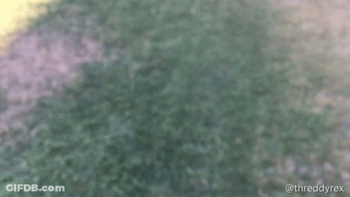 The Word Honk Is Displayed On A Blurred Background GIF