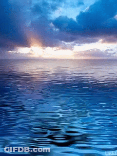 The Word Laska Is On The Bottom Of A Photo GIF