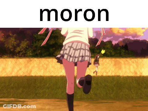 The Word Moron Is On A White Background GIF