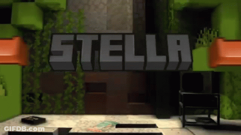 The Word Stella Is On A Brick Wall In A Video Game GIF