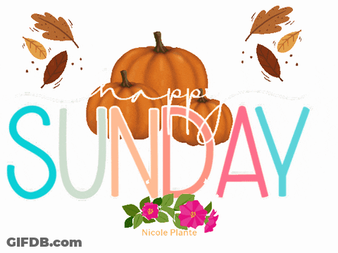 The Word Sunday Is On A White Background GIF