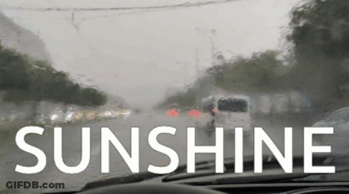 The Word Sunshine Is On The Windshield Of The Car GIF