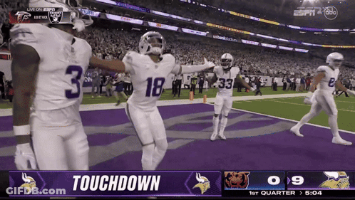 The Word Touchdown That Is On A Sports Screen GIF
