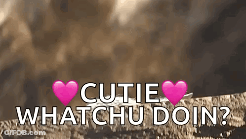 The Words Cutie Whatchu Doin Are Written On A Brown Background With Pink Hearts . GIF