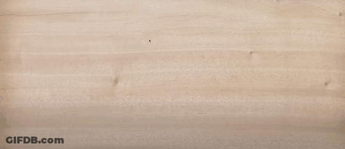 The Words The Sun And Moon Sh Are Spelled Out In Colorful Letters GIF
