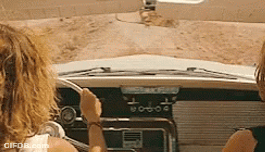 Thelma And Louise Driving Holding Hands GIF