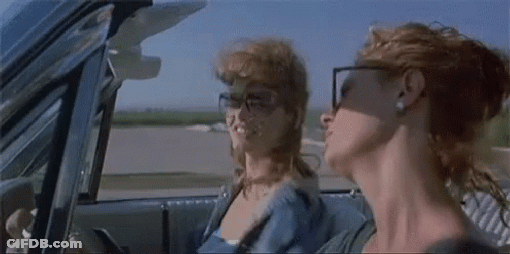 Thelma And Louise GIF