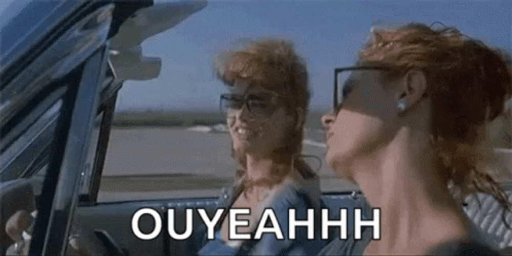Thelma And Louise Road Trip Meme GIF