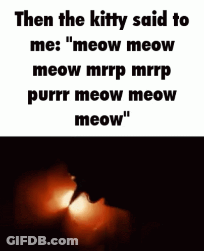 Then The Kitty Said To Me : Meow Meow Meow Mrrp Mrrp Purrr Meow Meow Meow GIF