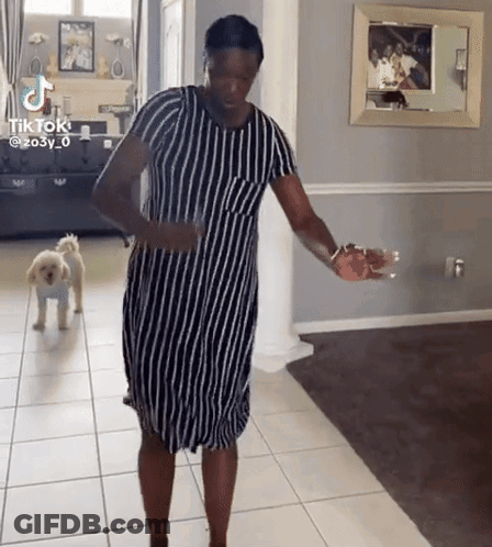 Theojigif Theojigid GIF