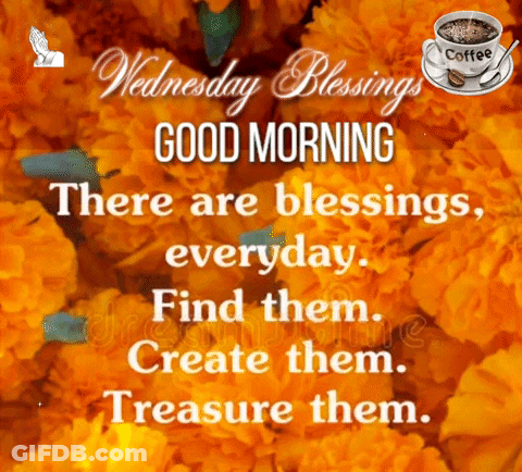 There Are Blessings Everyday Find Them Create Them Treasure Them GIF