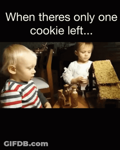 There Can Be Only One Cookie Left GIF