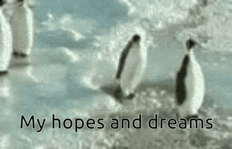 There Goes My Hero Penguins GIF
