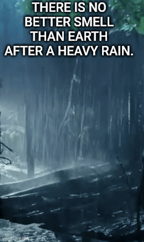 There Is A Better Smell In Rainy Monday GIF