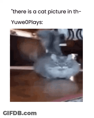 There Is A Cat Picture In Th Yuweoplays GIF