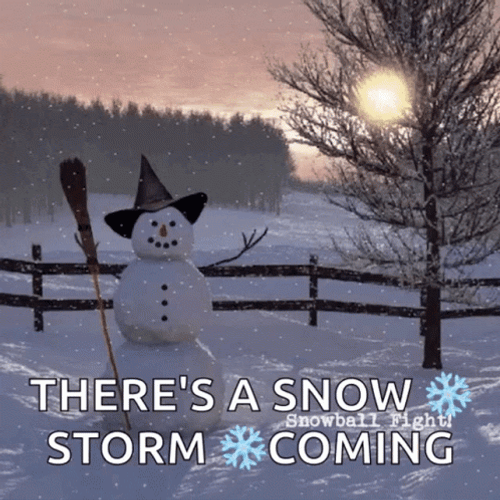 There's A Snow Storm Coming Snowball Fight GIF