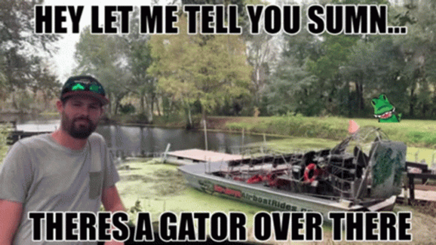 There's Alligator In The Swamp GIF